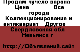 Продам чучело варана. › Цена ­ 15 000 - Все города Коллекционирование и антиквариат » Другое   . Свердловская обл.,Невьянск г.